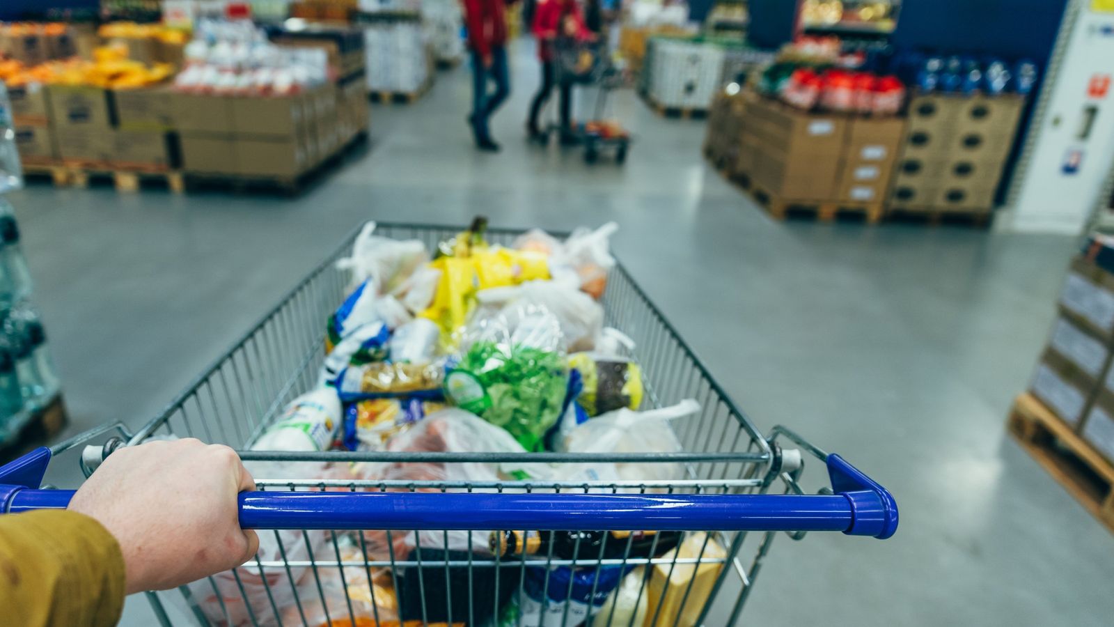grocery basket full