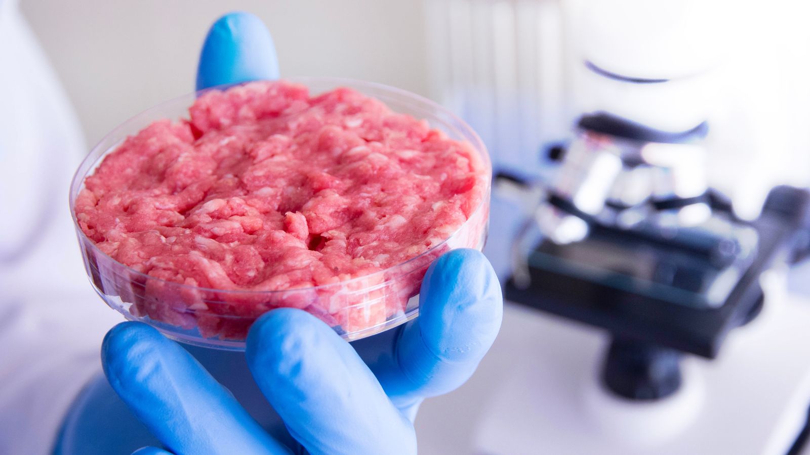 lab grown meat